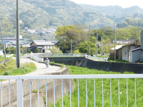 画像7